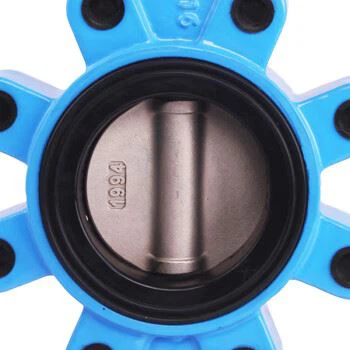 DN80 LUG Butterfly valve (3)